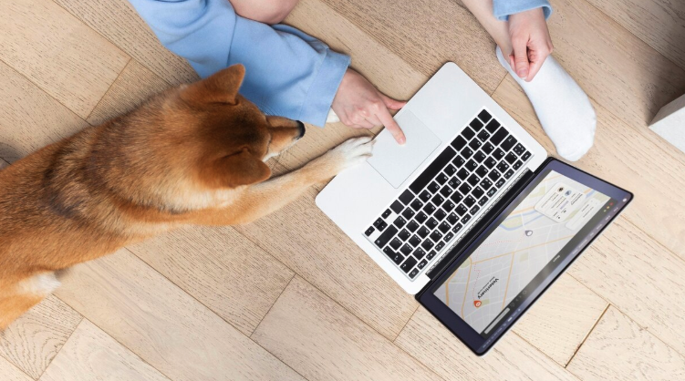 Animal Rescue DE USA - PawrPose